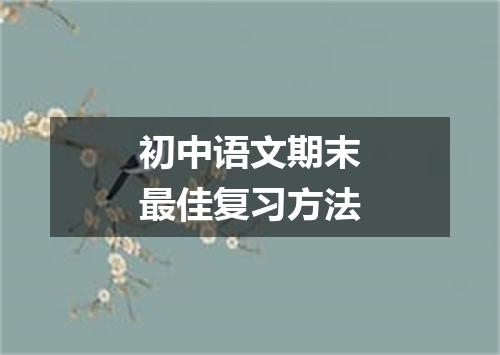 初中语文期末最佳复习方法