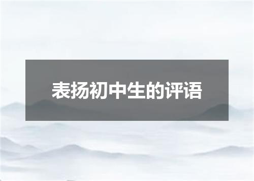 表扬初中生的评语