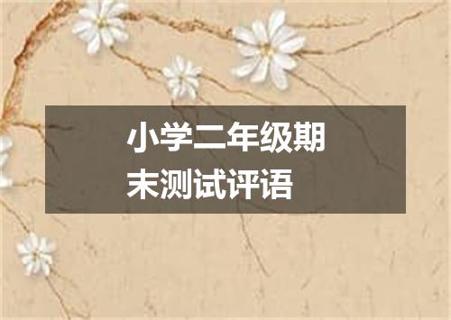 小学二年级期末测试评语