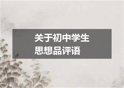 关于初中学生思想品评语