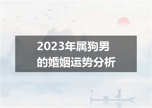 2023年属狗男的婚姻运势分析