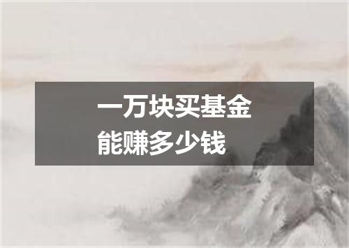 一万块买基金能赚多少钱