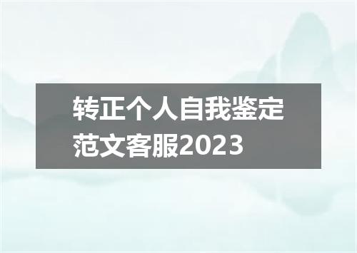 转正个人自我鉴定范文客服2023