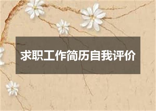 求职工作简历自我评价