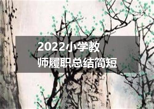 2022小学教师履职总结简短