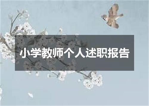小学教师个人述职报告