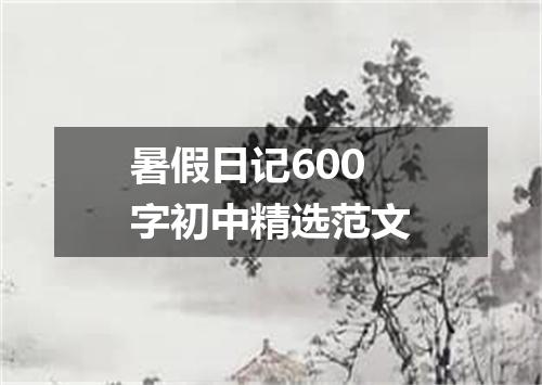 暑假日记600字初中精选范文