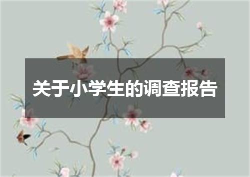 关于小学生的调查报告