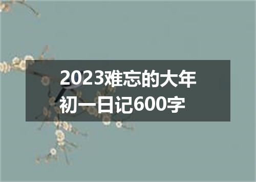 2023难忘的大年初一日记600字