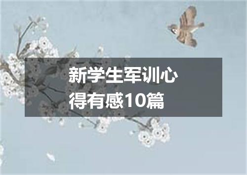 新学生军训心得有感10篇