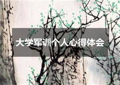 大学军训个人心得体会