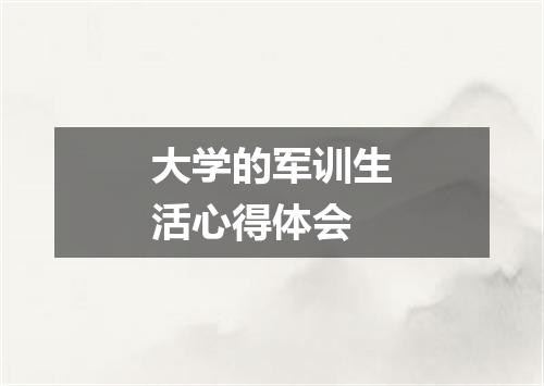 大学的军训生活心得体会