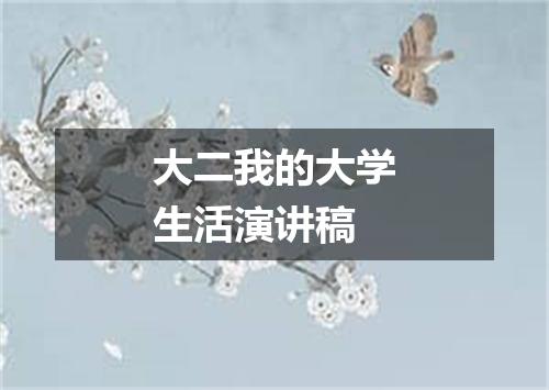 大二我的大学生活演讲稿