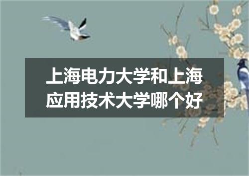 上海电力大学和上海应用技术大学哪个好