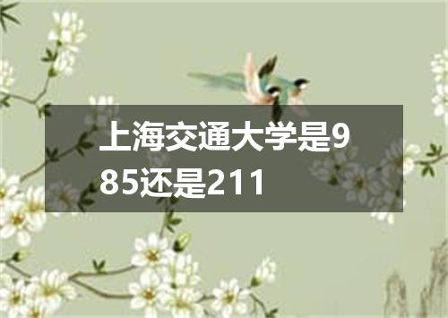 上海交通大学是985还是211