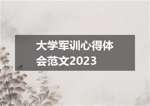 大学军训心得体会范文2023