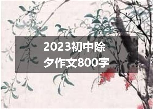 2023初中除夕作文800字