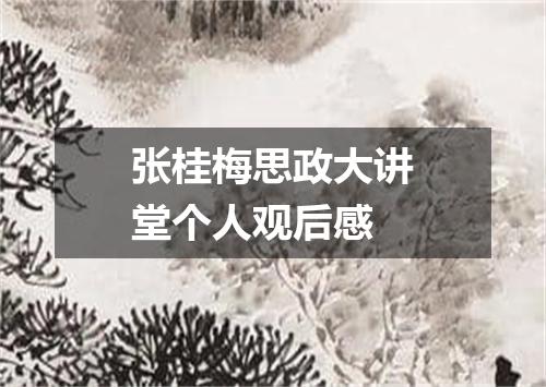 张桂梅思政大讲堂个人观后感