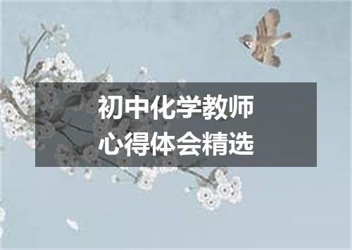 初中化学教师心得体会精选