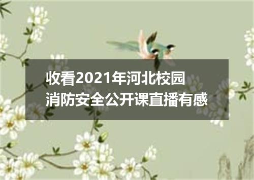 收看2021年河北校园消防安全公开课直播有感