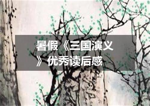 暑假《三国演义》优秀读后感