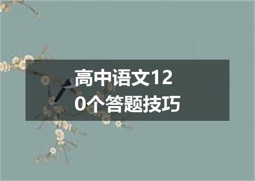 高中语文120个答题技巧
