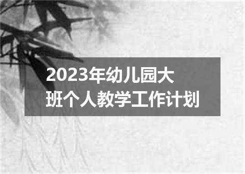 2023年幼儿园大班个人教学工作计划