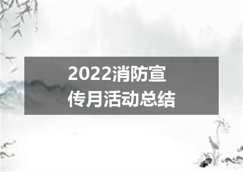 2022消防宣传月活动总结