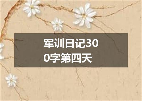 军训日记300字第四天