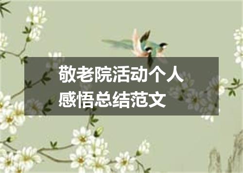 敬老院活动个人感悟总结范文
