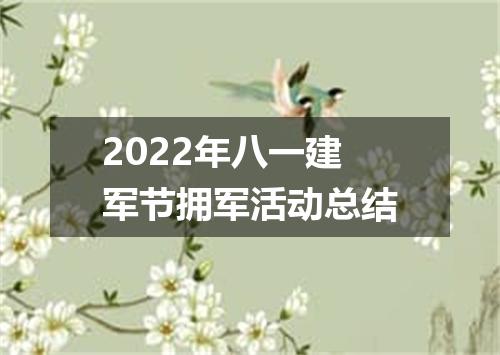 2022年八一建军节拥军活动总结