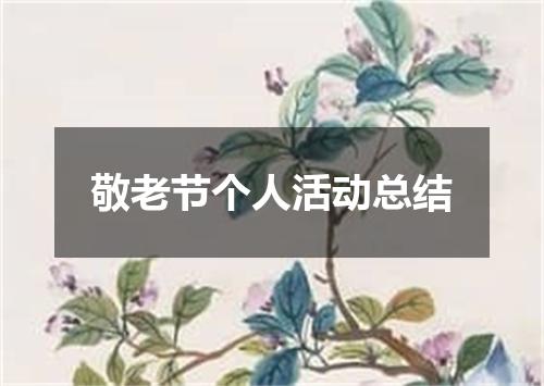 敬老节个人活动总结