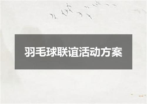 羽毛球联谊活动方案