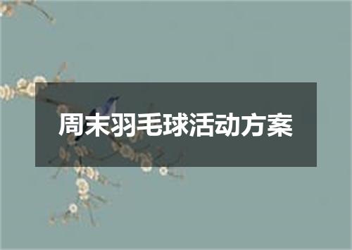 周末羽毛球活动方案