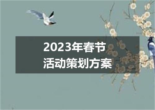 2023年春节活动策划方案