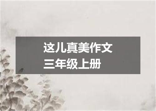这儿真美作文三年级上册
