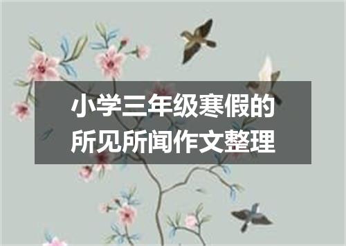 小学三年级寒假的所见所闻作文整理