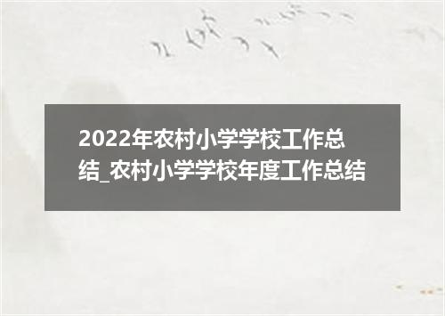 2022年农村小学学校工作总结_农村小学学校年度工作总结
