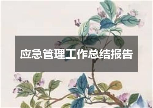 应急管理工作总结报告