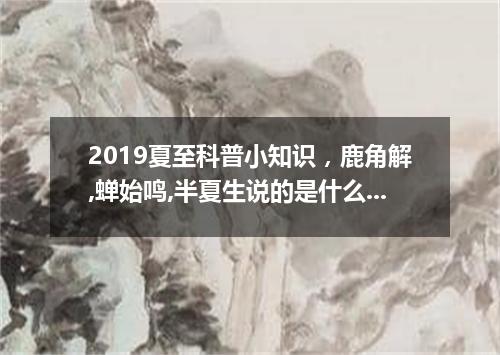 2019夏至科普小知识，鹿角解,蝉始鸣,半夏生说的是什么意思?