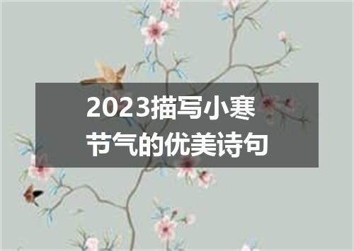 2023描写小寒节气的优美诗句