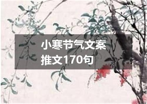 小寒节气文案推文170句