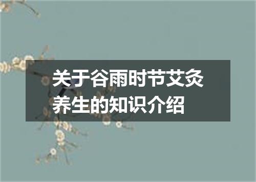 关于谷雨时节艾灸养生的知识介绍