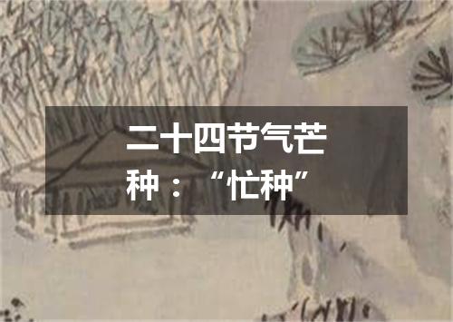 二十四节气芒种：“忙种”