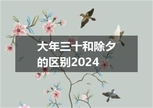 大年三十和除夕的区别2024
