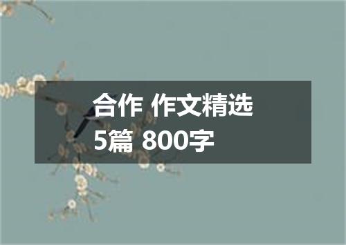 合作 作文精选5篇 800字