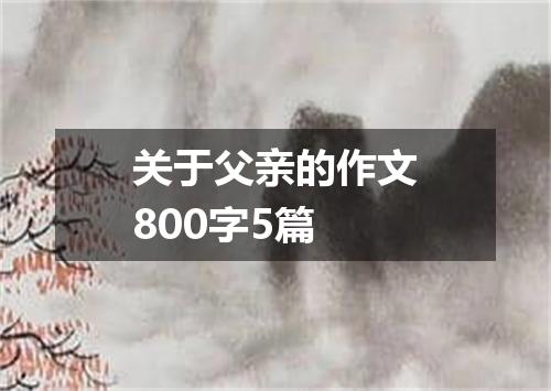 关于父亲的作文800字5篇
