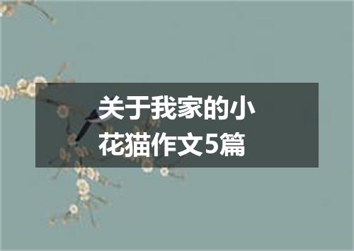关于我家的小花猫作文5篇