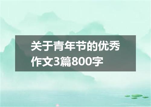 关于青年节的优秀作文3篇800字