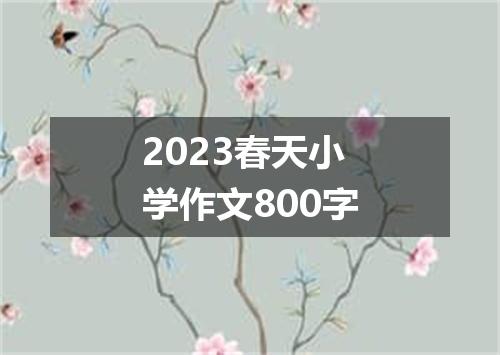 2023春天小学作文800字